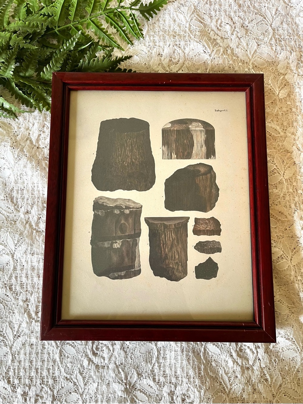 Solid Wood Framed Tree Trunk Decor 8x10